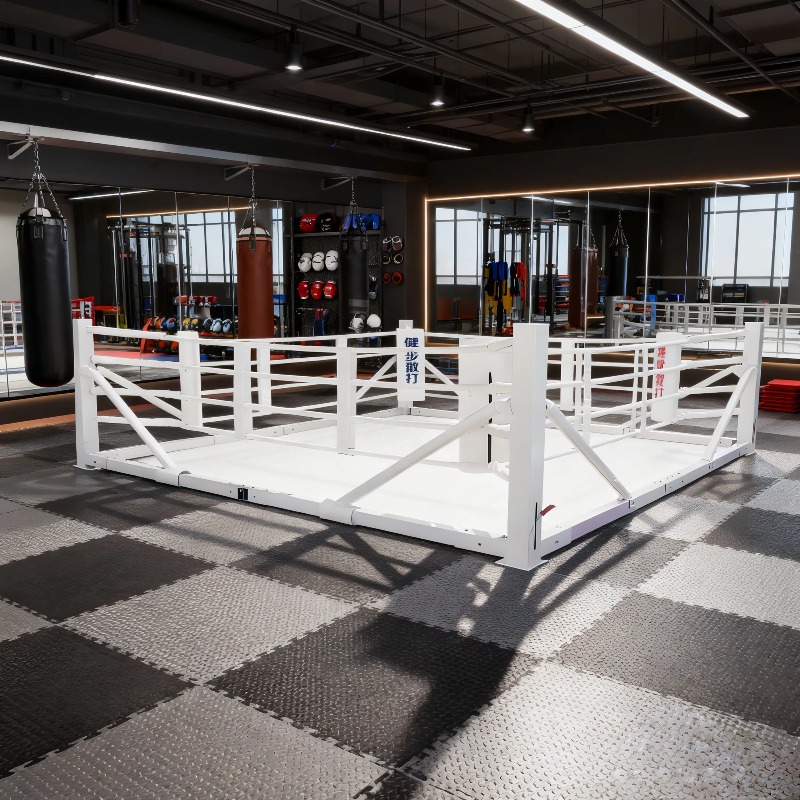 ชุดเวทีมวยพับได้ขนาดเล็ก อุปกร - Home Gym Foldable บทวิจารณ์และราคา