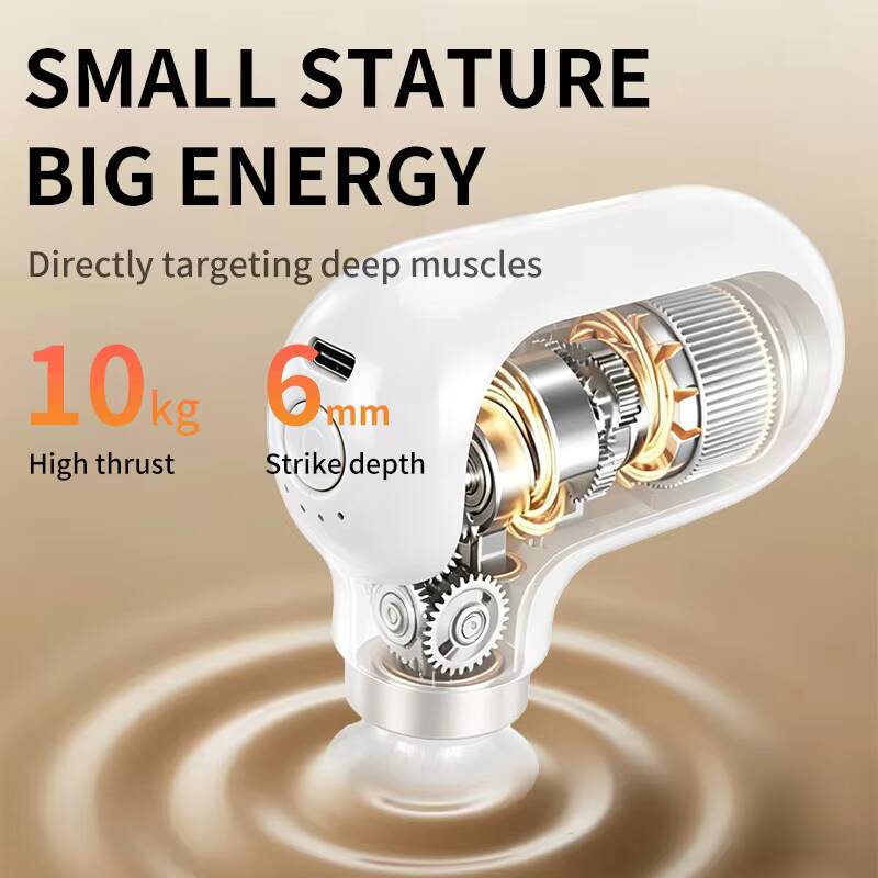 เจี้ยนยูแคร์มินิปืนนวดกล้ามเนื - Home Gym Mini บทวิจารณ์และราคา